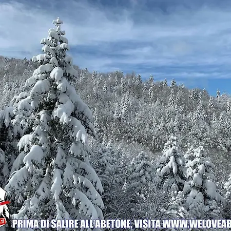 Appartement La Volpe